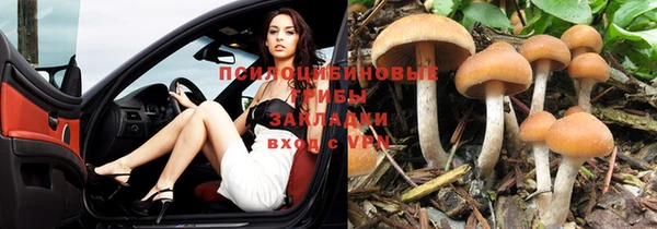 ALPHA PVP Алексеевка