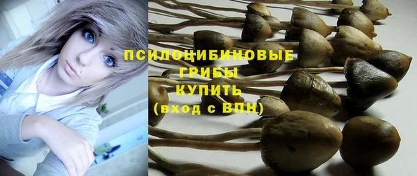 соль курить ск Алексин