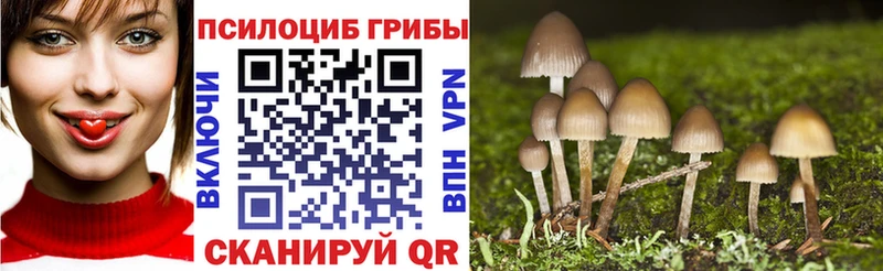 Псилоцибиновые грибы Psilocybe  Хвалынск 
